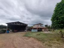 Brazil: Amazonas fruit farm - LAk-BR-003