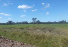 Chaco Kauf 22.000 Hektar Estancia Farm - 13123-PJU