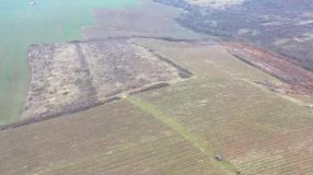 Centrale hydroélectrique sur le réseau Roumanie Vignoble en Arad avec 115 ha| EFG-13136 Vignoble en Arad avec 115 ha| EFG-13136