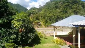 Hôtel acheter Propriété à vendre dans les Caraïbes B&B au bord de la rivière - 13137 B&B au bord de la rivière - 13137