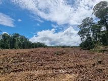 Brasil: Explotación frutícola del Amazonas - LAk-BR-003