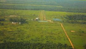 Chaco 20.000 Hektar Estancia Farm - 1135295-PJU