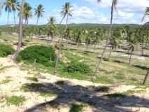 Bahia 22,0611 ha hectáreas terreno venta - 12029