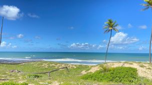 Terreno frente ao mar Barra do Itariri 40.000 m² - 12029